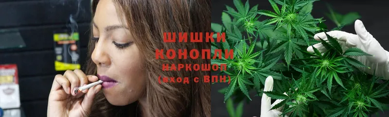 Бошки марихуана SATIVA & INDICA  Пыталово 